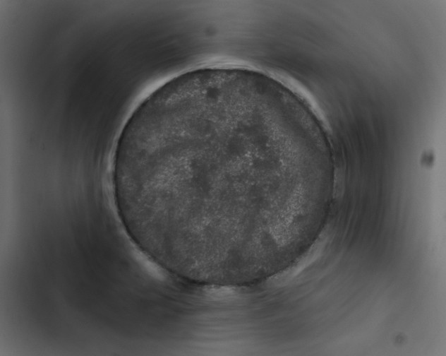 X0000103321231200809261128