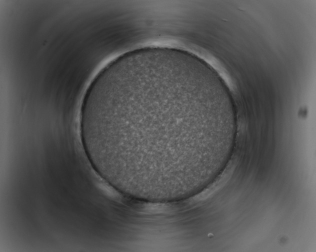 X0000103321232200809261128