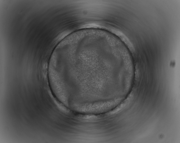 X0000103321233200809261128