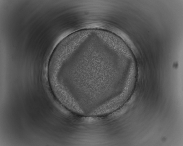 X0000103321234200809261128