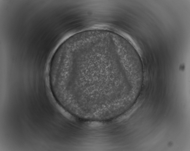 X0000103321235200809261128