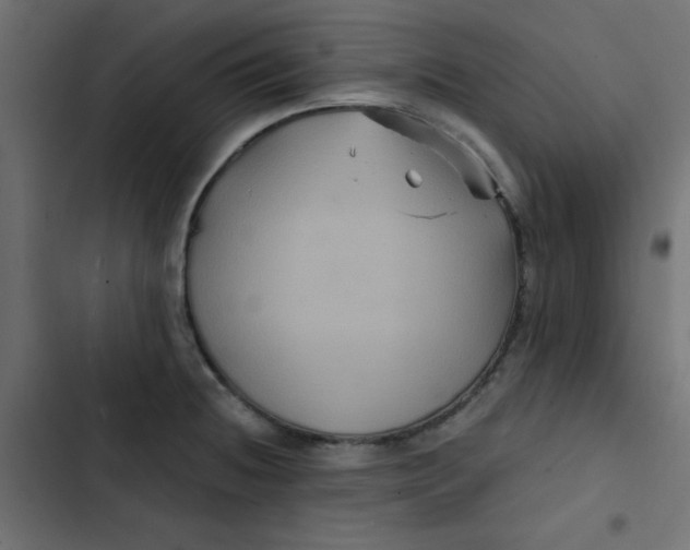 X0000103321236200809261128