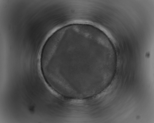 X0000103321237200809261128