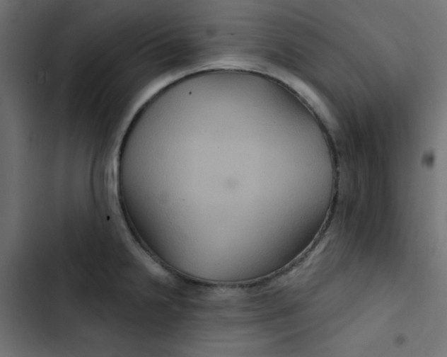 X0000103321238200809261129