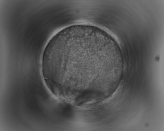 X0000103321239200809261129