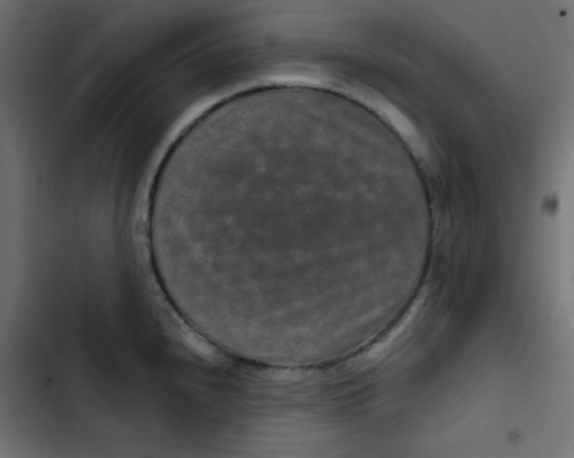 X0000103321240200809261129