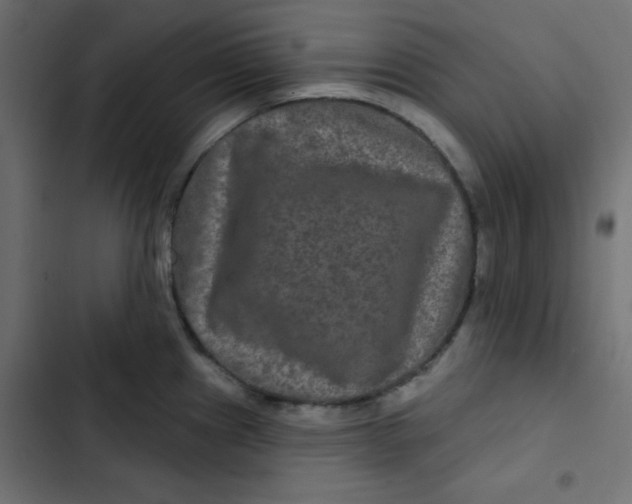 X0000103321241200809261129