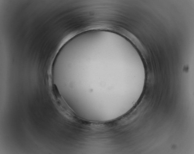 X0000103321242200809261129