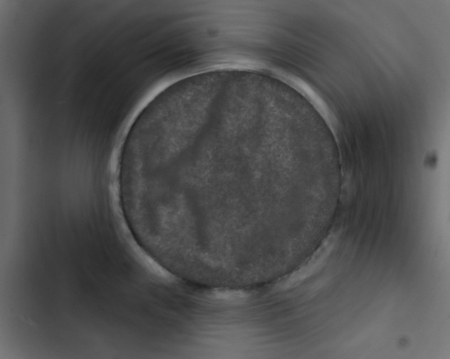 X0000103321243200809261129