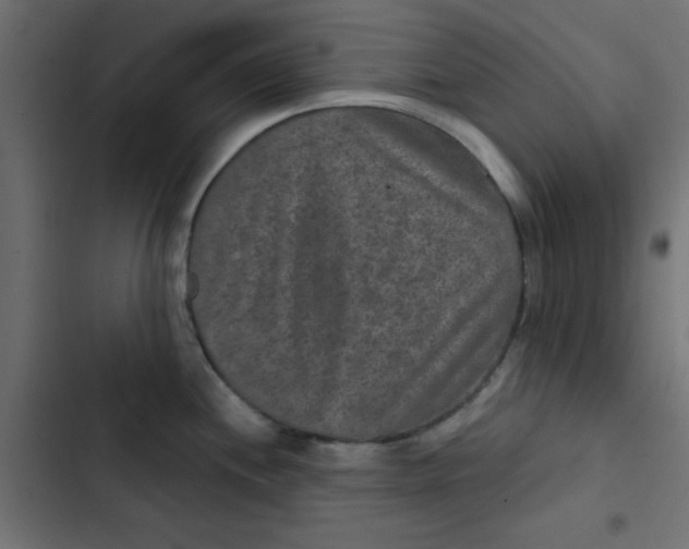 X0000103321244200809261129