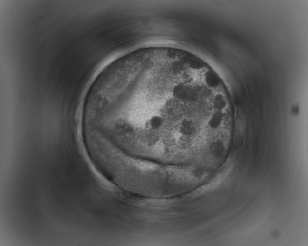 X0000103321245200809261129