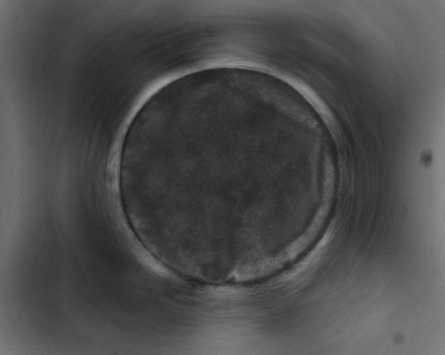 X0000103321246200809261129