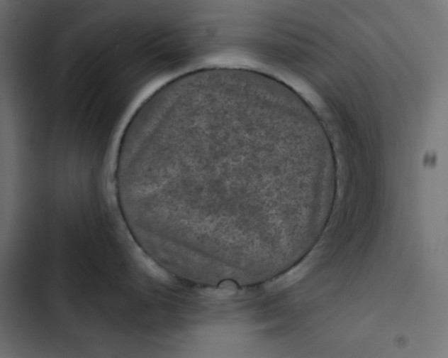 X0000103321248200809261129