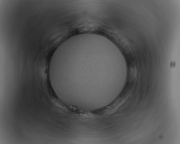 X0000103321250200809261128