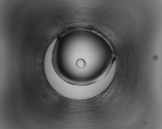 X0000103321252200809261128