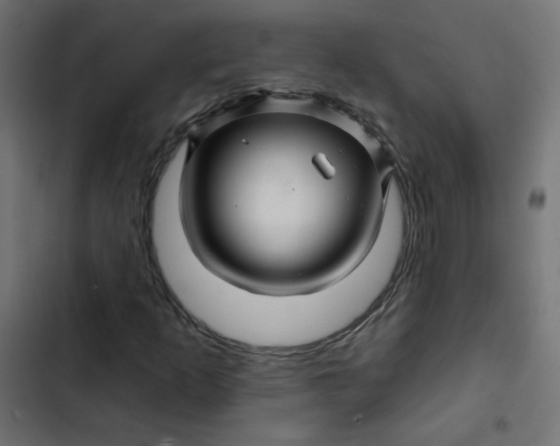 X0000103321253200809261128