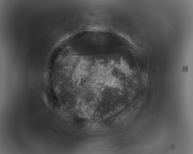 X0000103321254200809261128