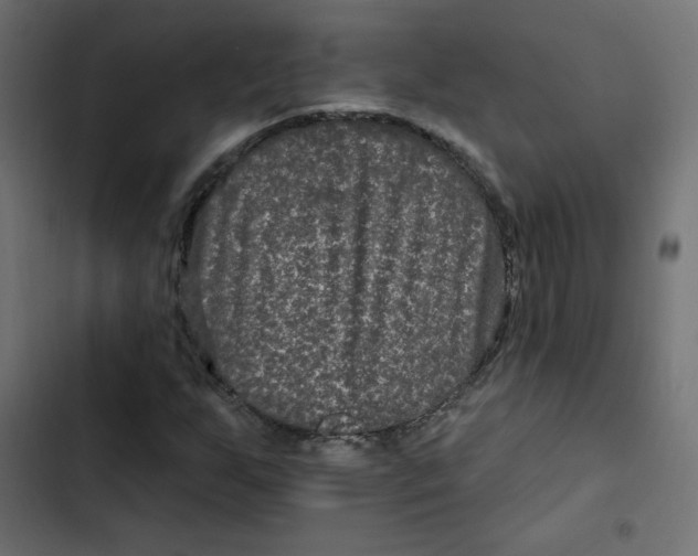 X0000103321255200809261128