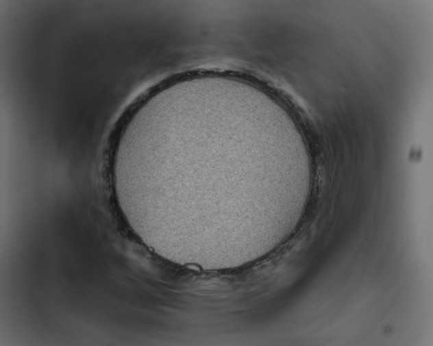 X0000103321256200809261128