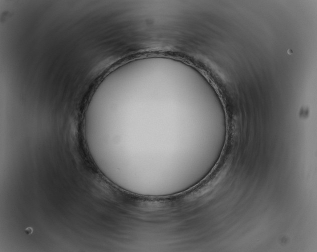 X0000103321257200809261128