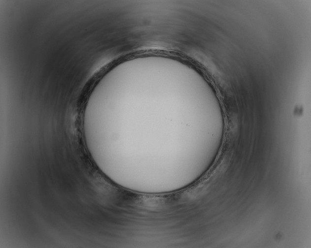 X0000103321258200809261128