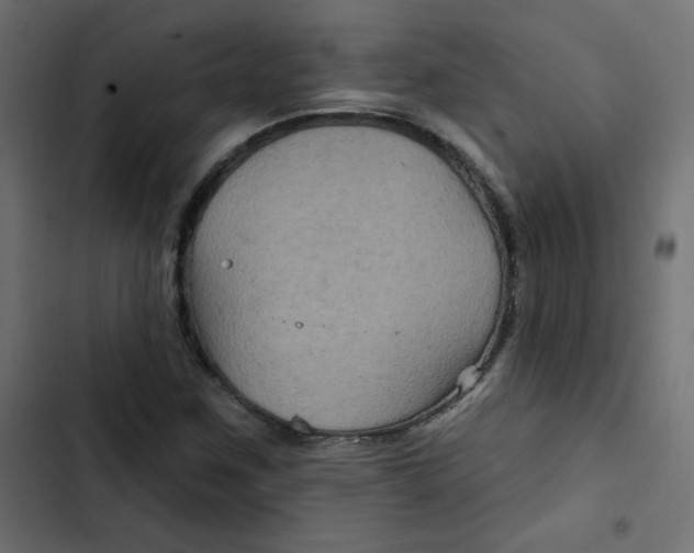 X0000103321259200809261128