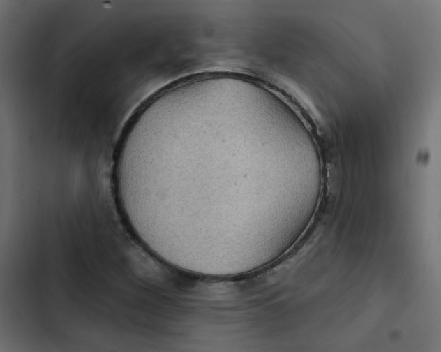 X0000103321260200809261128