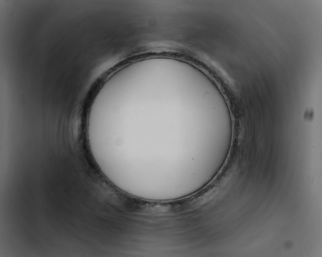 X0000103321261200809261128