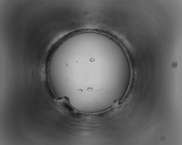 X0000103321262200809261128