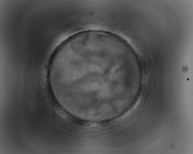 X0000103321263200809261128