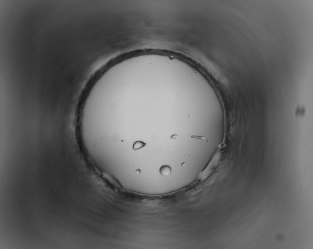 X0000103321264200809261128