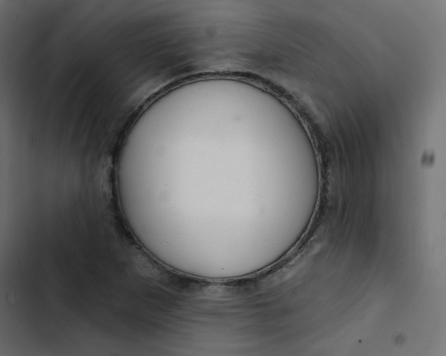 X0000103321265200809261128