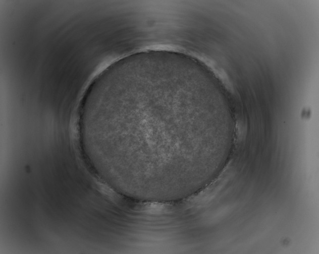 X0000103321266200809261128