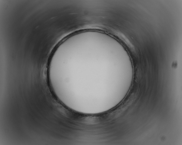 X0000103321268200809261128