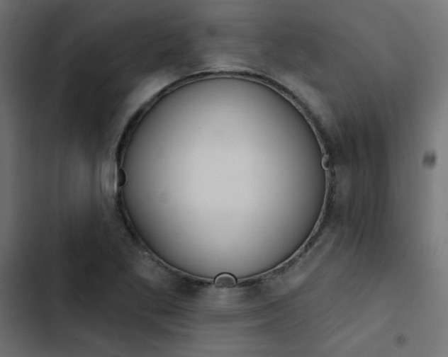 X0000103321269200809261128