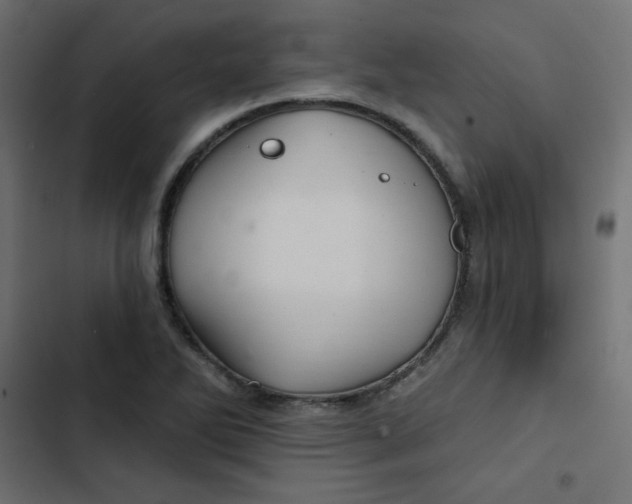 X0000103321270200809261128