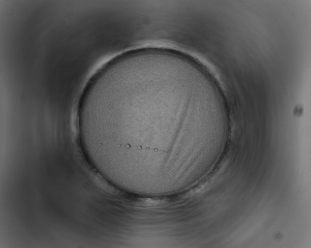 X0000103321271200809261128