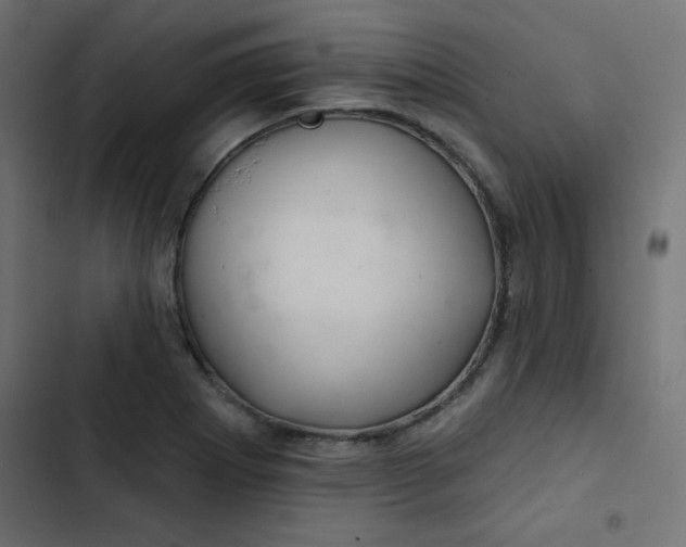 X0000103321273200809261127