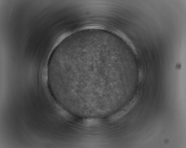 X0000103321274200809261127