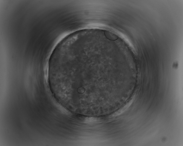 X0000103321275200809261127