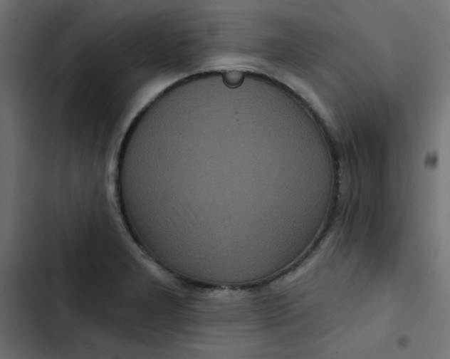 X0000103321277200809261127