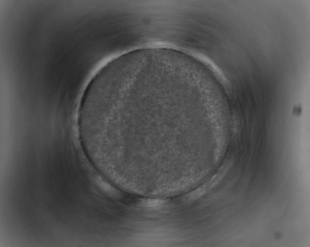 X0000103321278200809261127