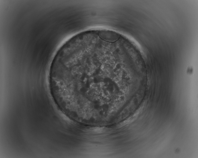 X0000103321279200809261127