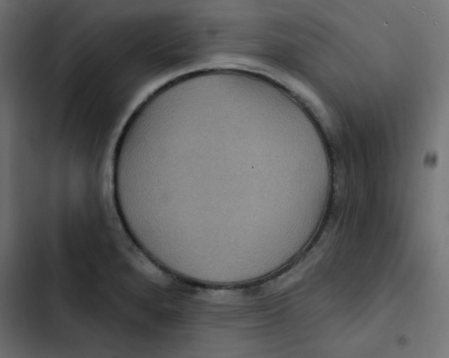 X0000103321280200809261127