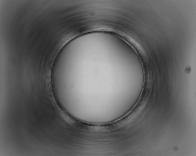 X0000103321281200809261127