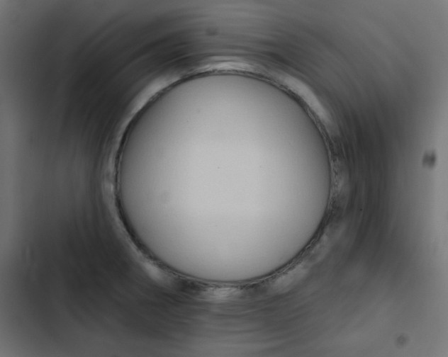 X0000103321282200809261127