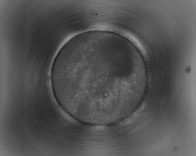 X0000103321283200809261127