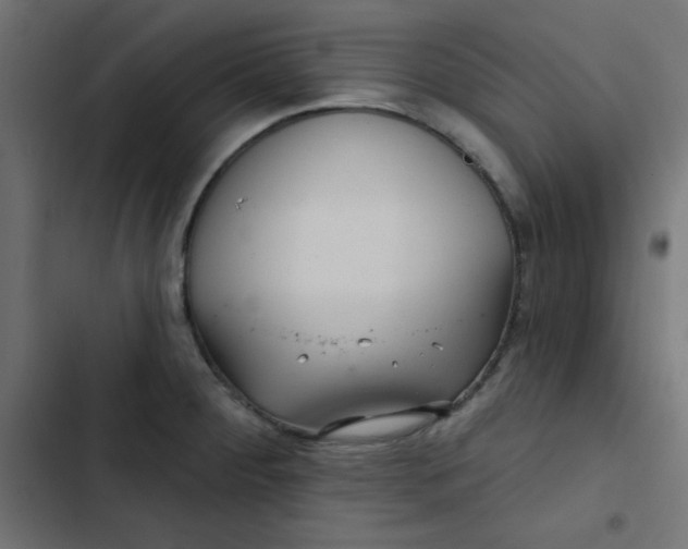 X0000103321284200809261127