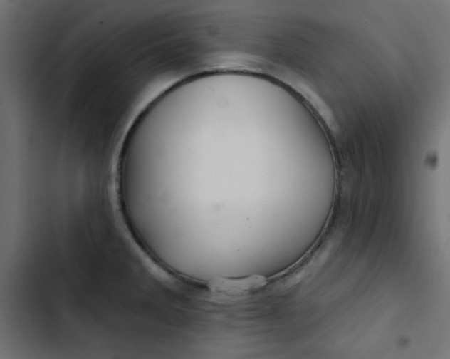 X0000103321285200809261127