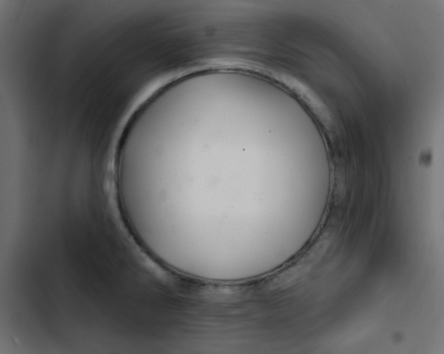 X0000103321286200809261127